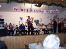 biesiada kultury slaskiej 2007_12